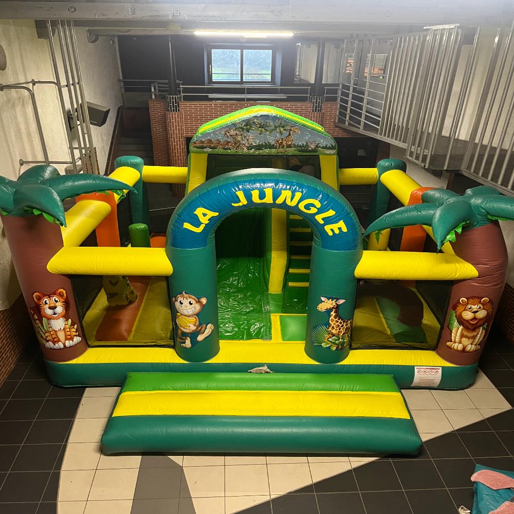 Photo Complexe Toboggan Tunnel Jungle